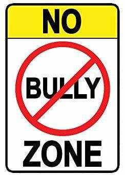 Bullying Presentation | Ware Shoals Primary School