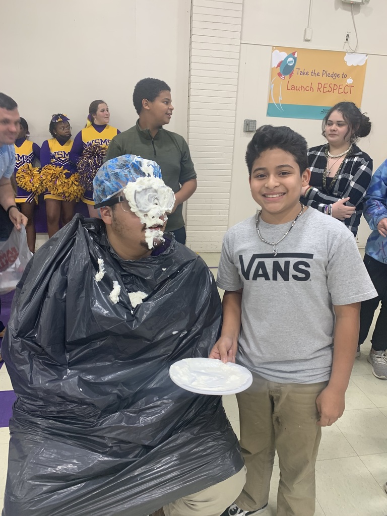 Pie in the Face
